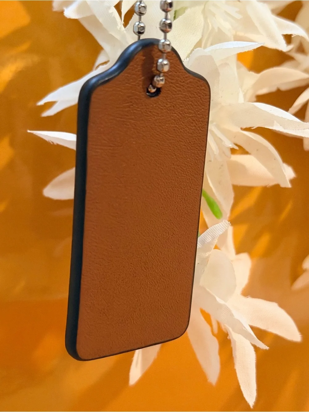 Coach Limited Edition “Buster Le Fauve” Hangtag